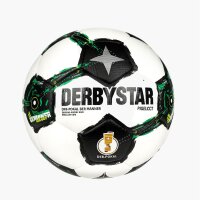 ERIMA Fußball Hybrid Training Gr.5 10er Ballpaket