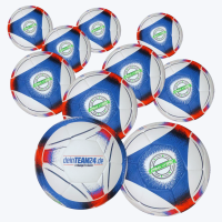 ERIMA Fußball Hybrid deinTeam24 10er Ballpaket Gr. 5