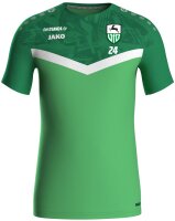 VfB Rehau - Präsentationsshirt Herren grün