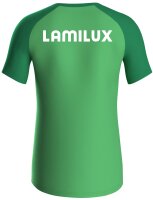 VfB Rehau - Präsentationsshirt Herren grün