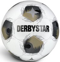 SpVgg Bayreuth U19 - Trainingsball FB-BRILLANT TT v25...