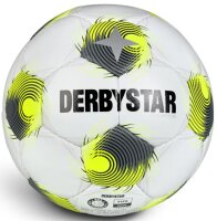 SpVgg Bayreuth U16/U15 -Trainingsball FB-BRILLANT TT AG...