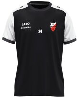 ZV Feilitzsch - Trikot Dynamic Herren schwarz