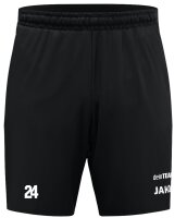 ZV Feilitzsch - Trainingsshort kurz Dynamic Herren schwarz