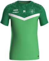 RSC Rehau - T-Shirt (Wettkampf) Herren grün