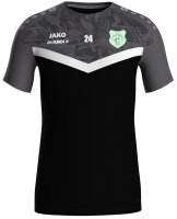 RSC Rehau - T-Shirt (Training) Herren schwarz