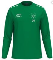 RSC Rehau - Sweatshirt Unisex grün